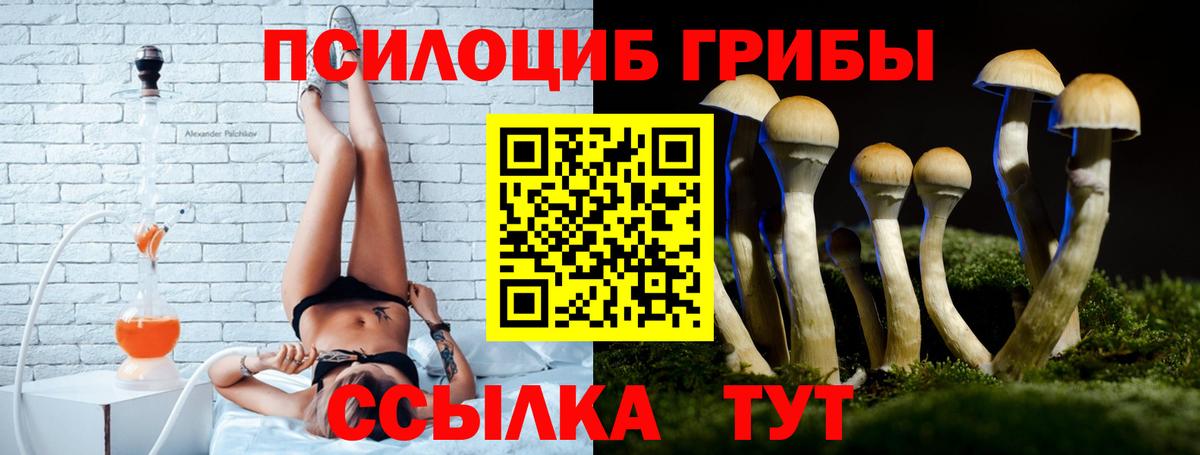 Галлюциногенные грибы GOLDEN TEACHER  Вход с VPN  Зерноград 