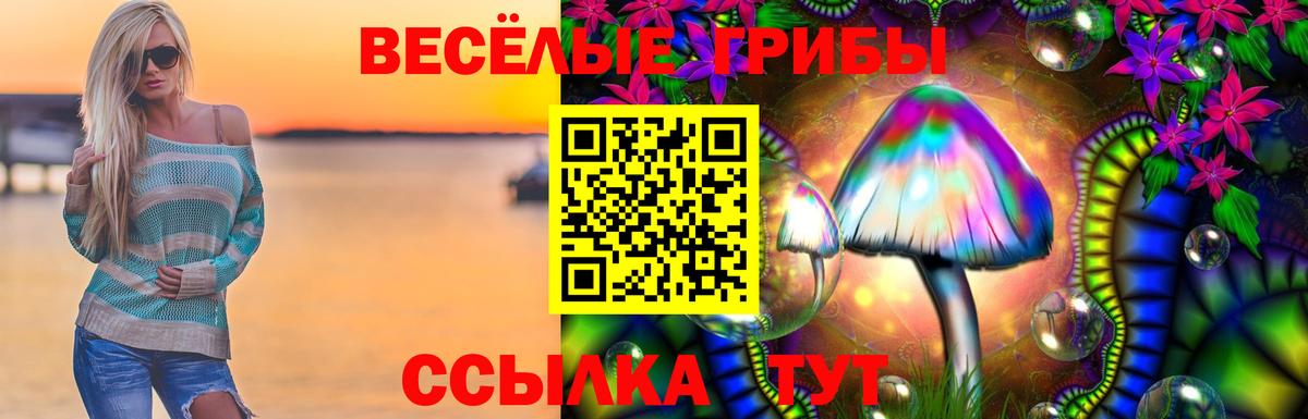 Галлюциногенные грибы прущие грибы Зерноград